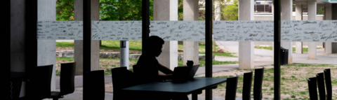 Student seated in front of wall of windows studying