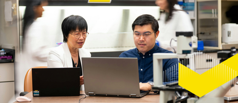 Two researchers sitting at their laptops in a lab