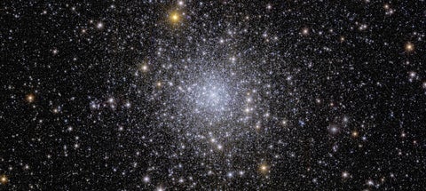 Euclid’s view of globular cluster NGC 6397