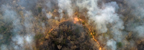 Climate change, Wildfires release carbon dioxide (CO2) emissions and other greenhouse gases (GHG) that contribute to climate change and global warming.