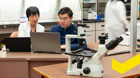 Two researchers sitting at their laptops in a lab