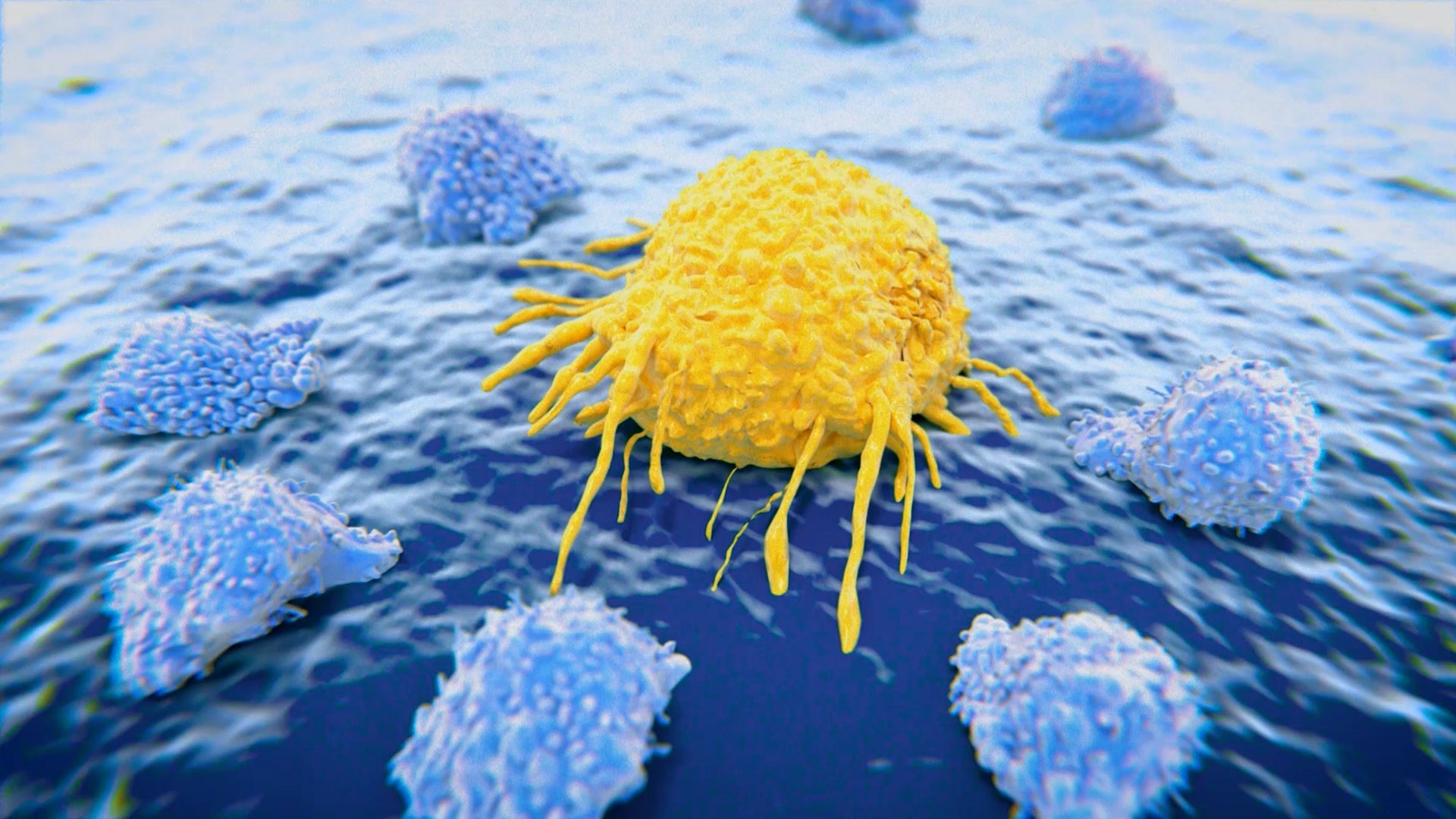 T-Cells Work to Fight Cancer, Immunotherapy, CAR T-cell therapy, 3d renderin