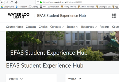 EFAS Student Experience Hub page on LEARN