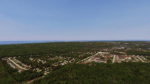 An aerial shot of buildings among trees with blue water in the background