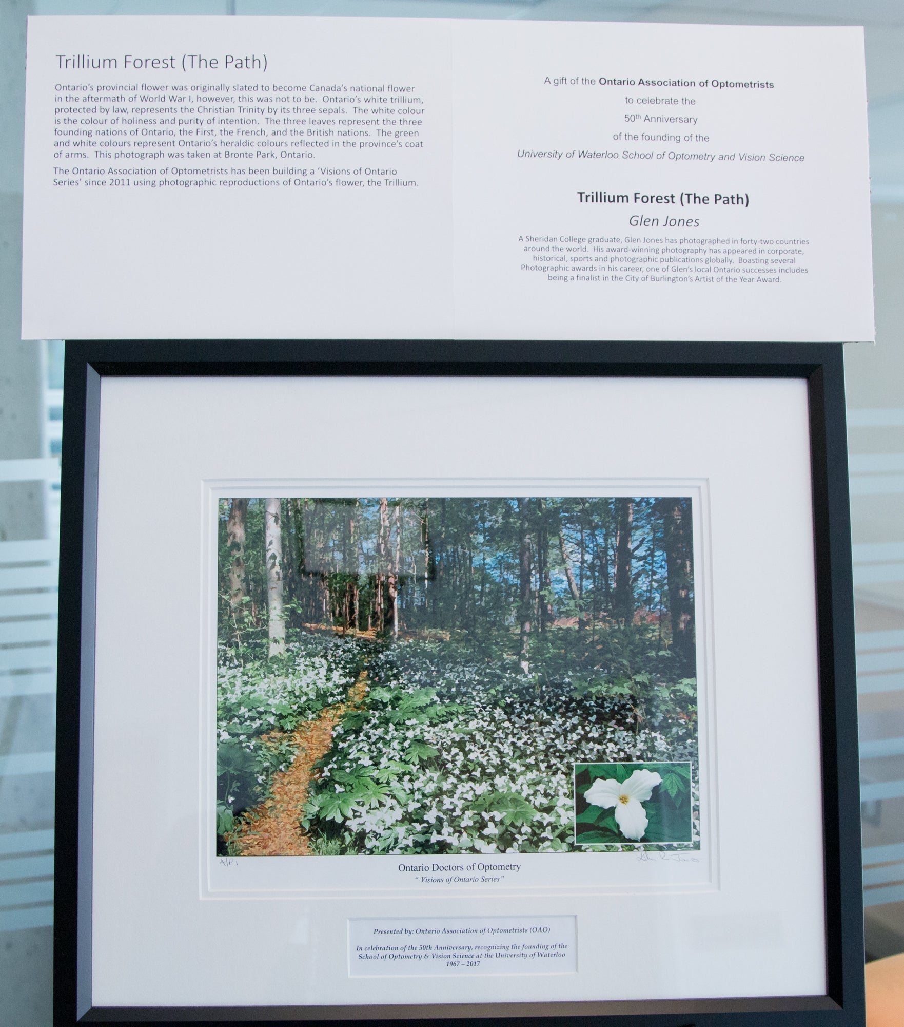 Ontario Association of Optometrists art donation