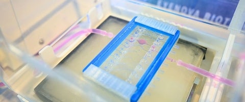 Lab equipment in use.