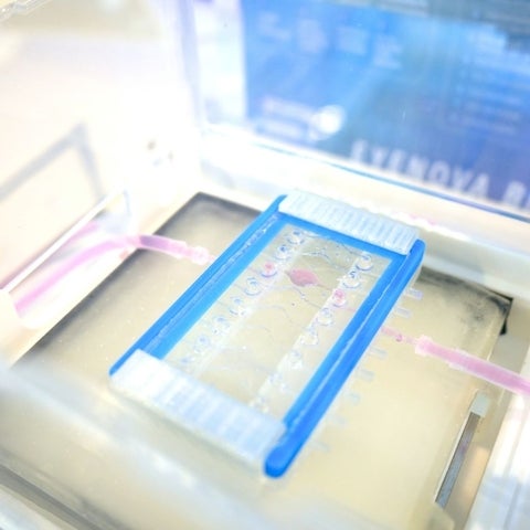 Prototype eye on a chip