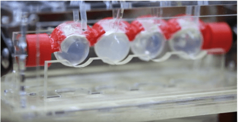 a row of five translucent balls simulating eyeballs with red lids