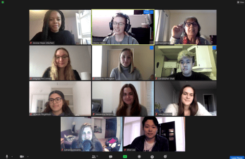 Screencapture of one of the online Zoom meetings