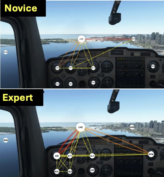 Eye gaze chart during flight