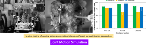 In vitro testing of cervical spine range motion following different surgical fixation approaches