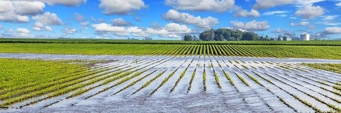 rural flooding