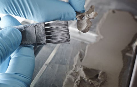 Hands holding a clay model.