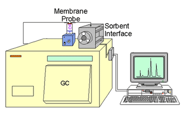 Membrane Extraction with a Sorbent Interface (MESI)