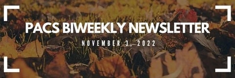 Bi-weekly newsletter heading