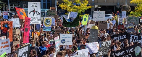 Students holding signs in a large group at climate strike