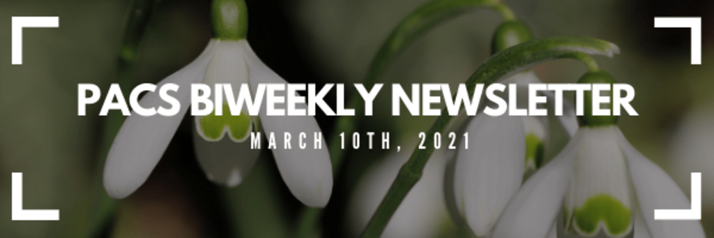 PACS bi-weekly newsletter white text over white flowers in background