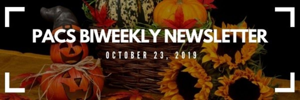 MPACS newsletter banner for October 23. Picture of sunflowers and pumpkins