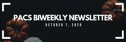 PACS bi-weekly newsletter over black backround with pumpkin