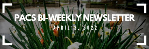 PACS Bi-Weekly Newsletter text with flowers in background
