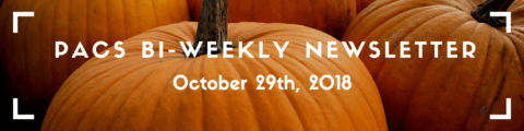 PACS Newsletter banner: image of pumpkins with the title "PACS Bi-Weekly Newsletter, October 29th" overtop