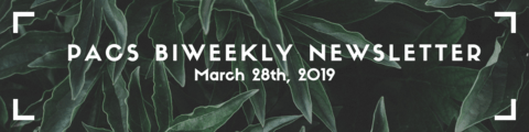 PACS Newsletter banner: image of green foliage with white text overtop, which reads "PACS BIweekly Newsletter: March 28th"