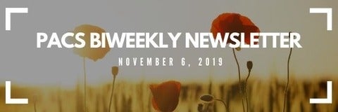 biweekly newsletter header. Pictured is poppies 