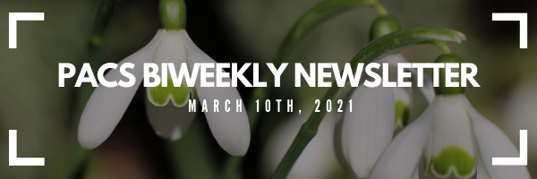 PACS Biweekly Newsletter, March 10th 2021