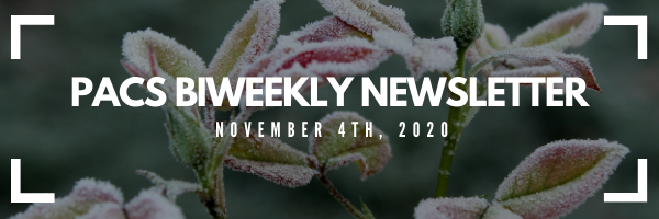 PACS Biweekly Newsletter, November 4th, 2020