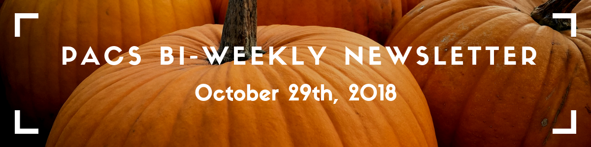 PACS Newsletter banner: image of pumpkins with the title 