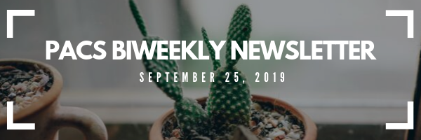 PACS newsletter banner for september 25. Image of catus in a pot