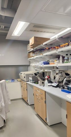 Dedicated workspace for mammalian tissue showing workbench with inverted microscopes and refrigerated centrifuge.