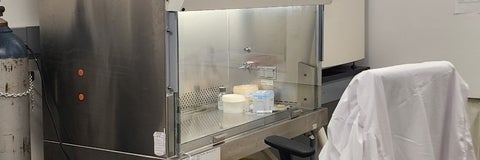 Dedicated workspace for mammalian tissue culture showing biosafety cabinet, and CO2 incubator