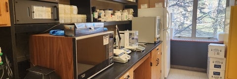 Interior of the lab showing showing chemical bench, weighing and mixing area. 