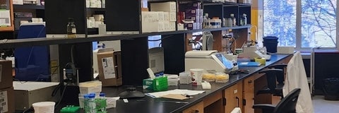 Interior of the lab showing 3 researcher work benches 