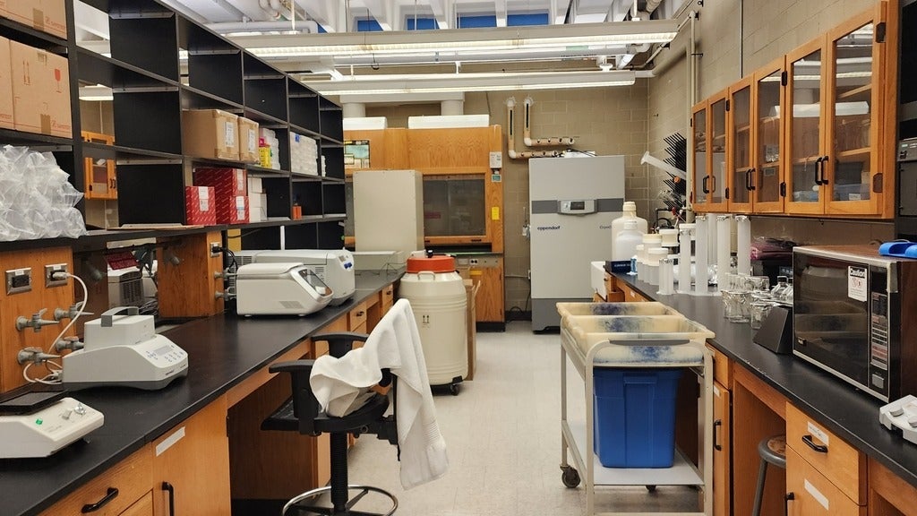 Interior of the Peart Lab at the University of Waterloo, showing PAGE and agarose gel running bench work area and researcher workbench