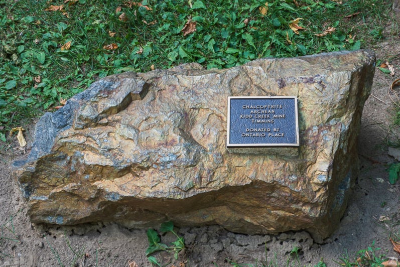 Chalcopyrite in the Peter Russell Rock Garden. 