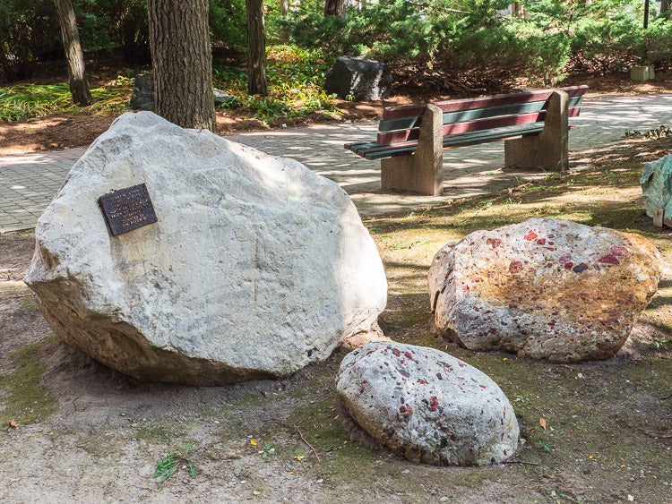 Jasper Conglomerate in the Peter Russell Rock Garden