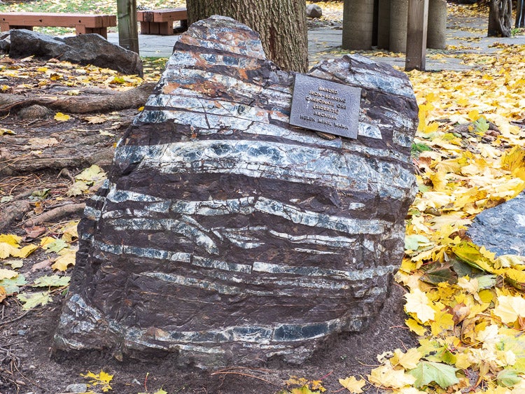 Banded iron-bearing carbonate (siderite) in the Peter Russell Rock Garden