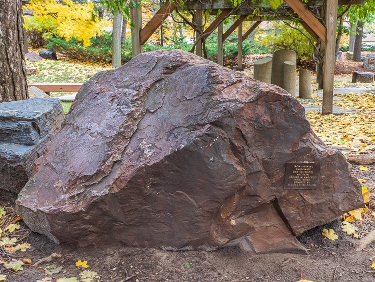Banded iron-bearing carbonate (siderite) in the Peter Russell Rock Garden. 