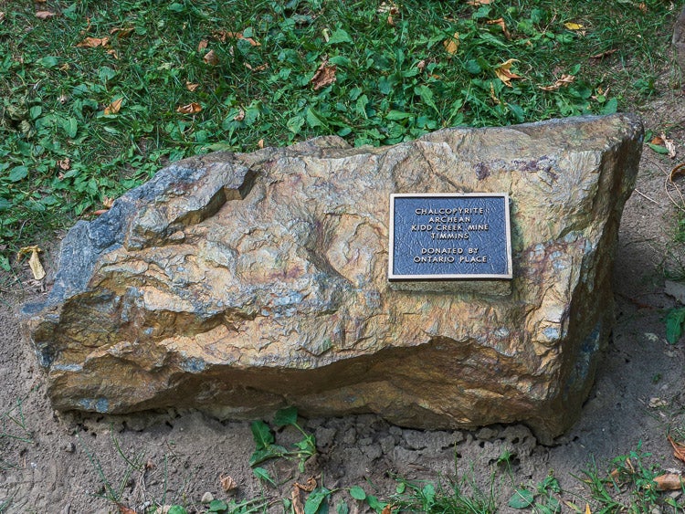 Chalcopyrite in the Peter Russell Rock Garden. 
