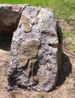 Amethyst in granite breccia in the Rock Garden.
