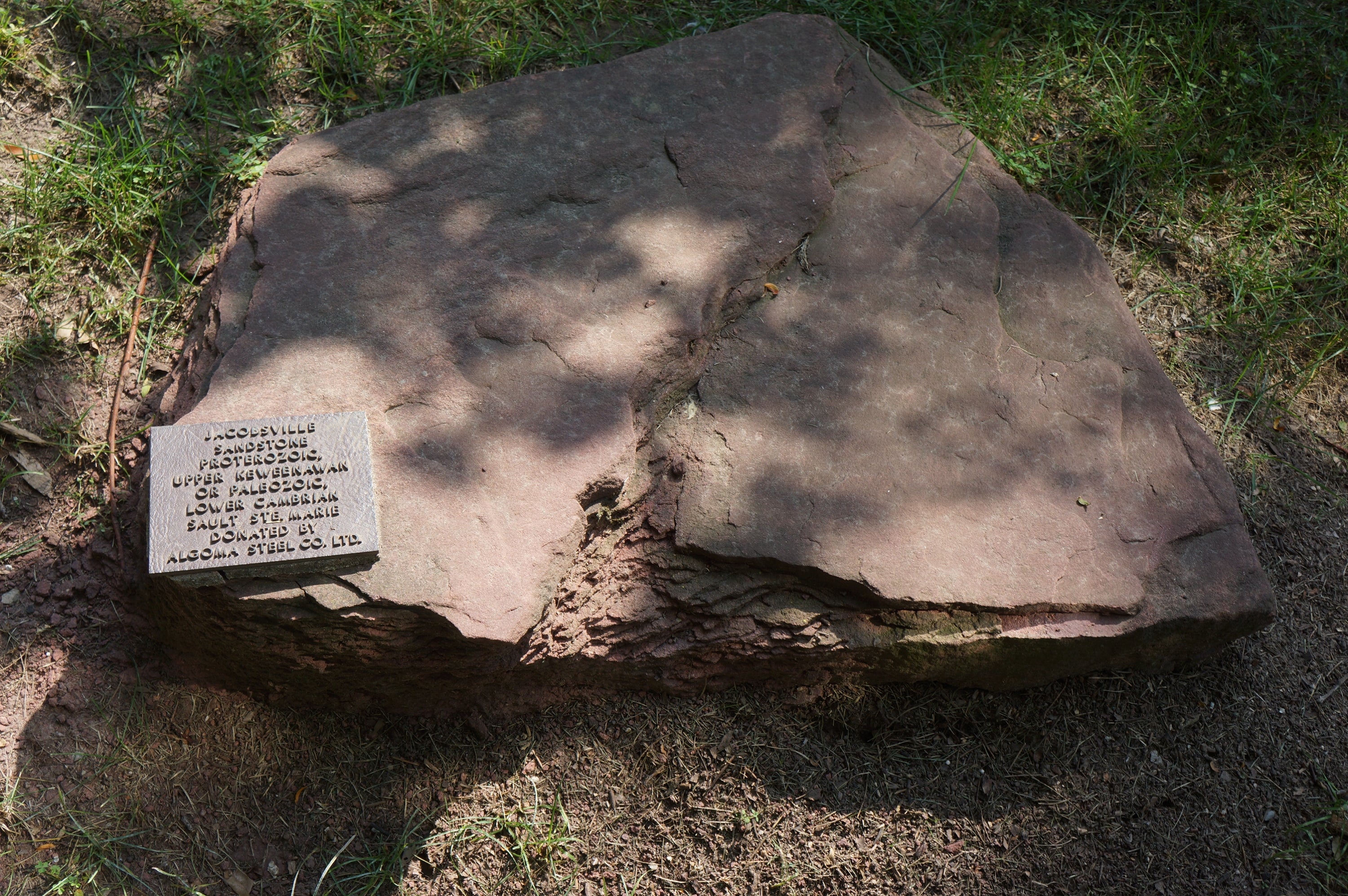 Jacobsville sandstone in the Peter Russell Rock Garden