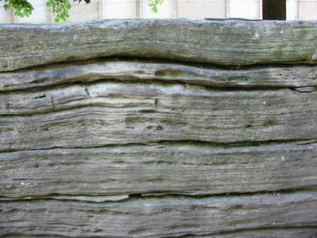 A close up of Eramosa dolostone layers.