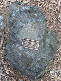 Peridotite inclusion in serpentinite rock in the Rock Garden.