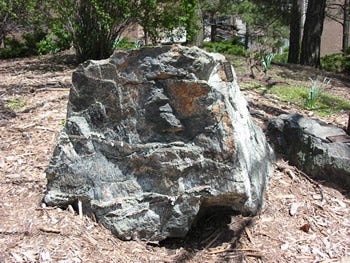 Serpentinite rock in the Rock Garden.