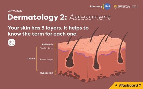 Dermatology 2: Assessment. Your skin has 3 layers. it helps to know the term for each one.
