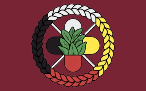The Indigenous Pharmacy Professionals of Canada logo with dark red background