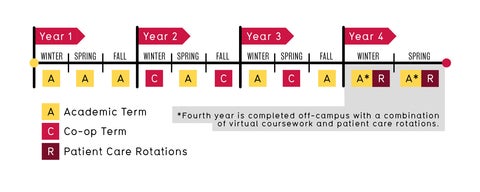 graphic showing the academic progression through the PharmD program