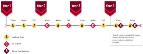 PharmD Academic Plan, see long description